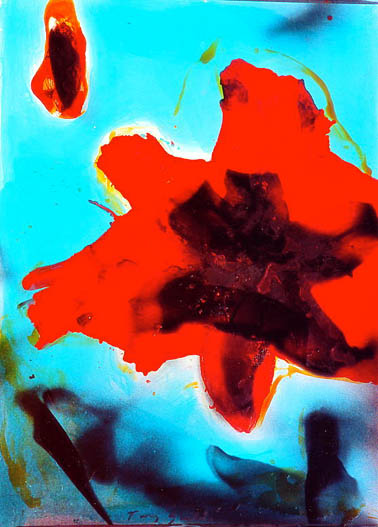Fleur Marquise - Tony Soulié